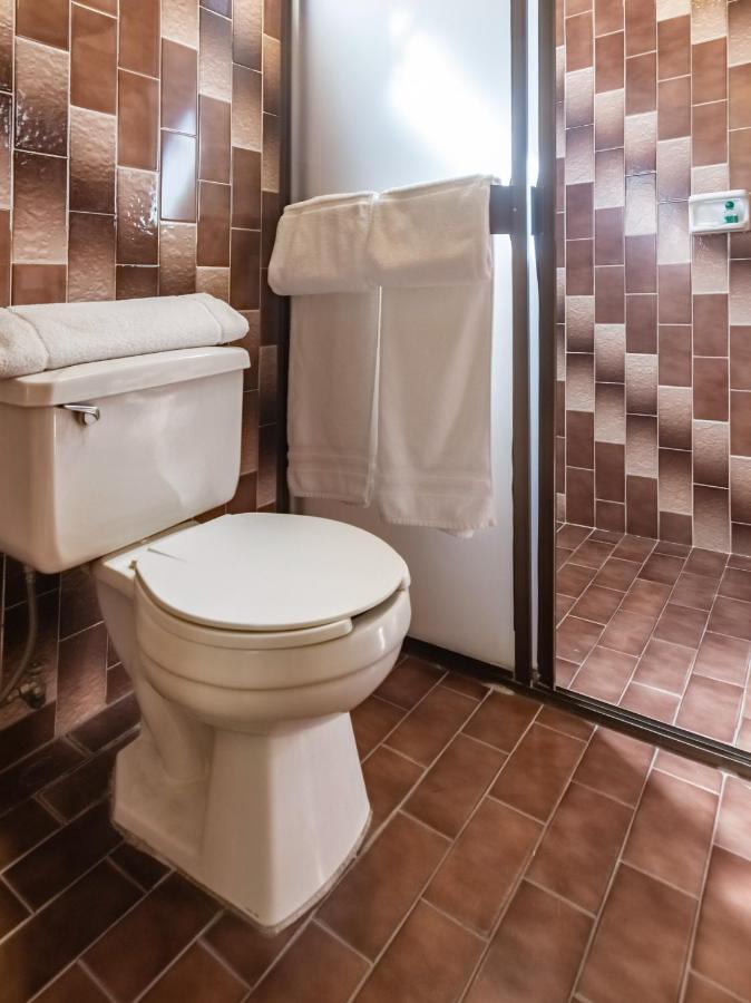 Capital O Mansion Los Arcos, サン・ルイス・ポトシ エクステリア 写真